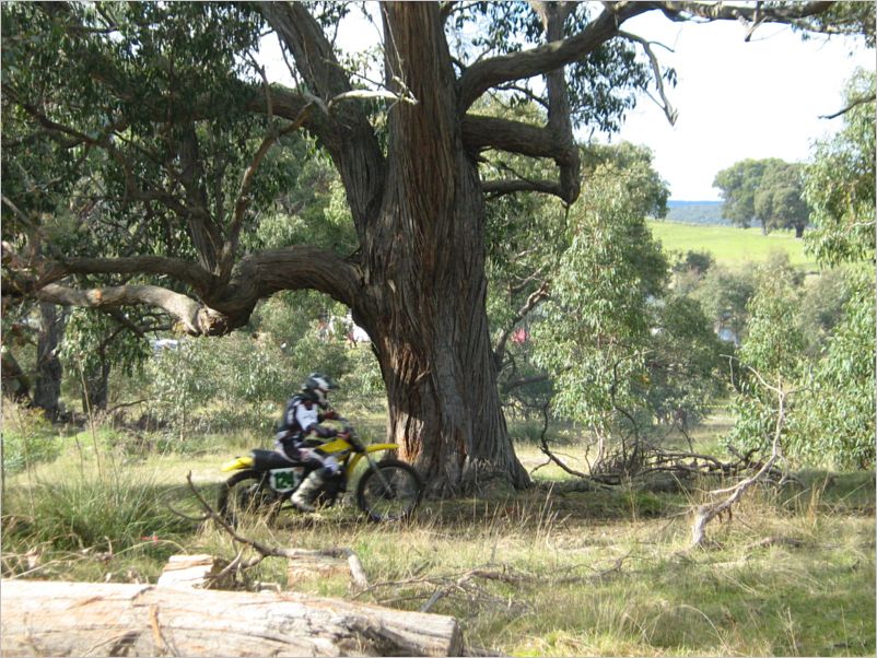 Classic VMX Aug 2011 045